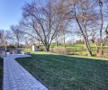 Rear Yard II