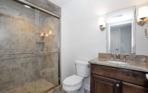 621 Green Briar Court, Westfield- Attic Bathroom