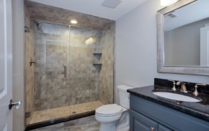 621 Green Briar Court, Westfield- Basement Bathroom