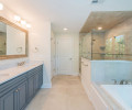 Master Bathroom II