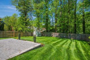 713 Knollwood Terrace, Westfield- Rear Yard