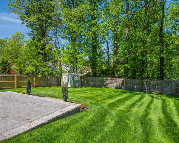 Rear Yard