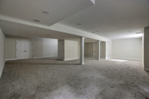 843 Nancy Way - Basement