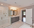 Master Bathroom II