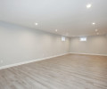 Finished Basement II