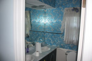 Before - Original Bathroom