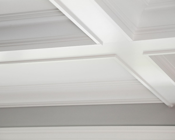 Dining Room Ceiling Detail