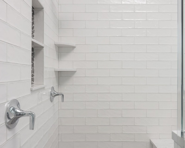 Master Bathroom III