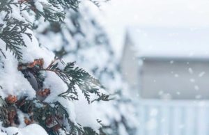 winter-activities-in-westfield-nj