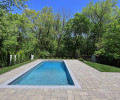 Rear Yard IV