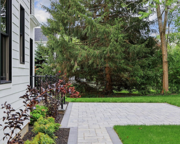 Rear Patio