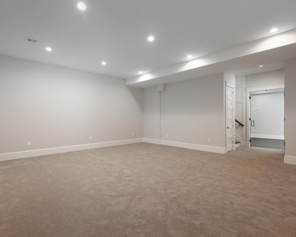 Finished Basement II