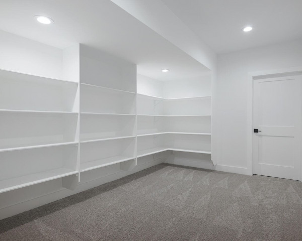 Finished Basement II