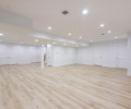 Finished Basement II