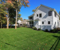 Rear Yard II