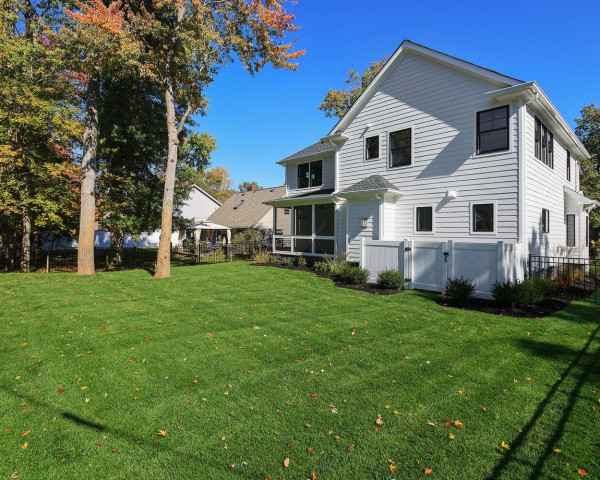 Rear Yard II
