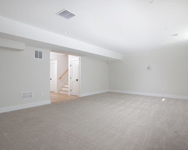 Finished Basement II