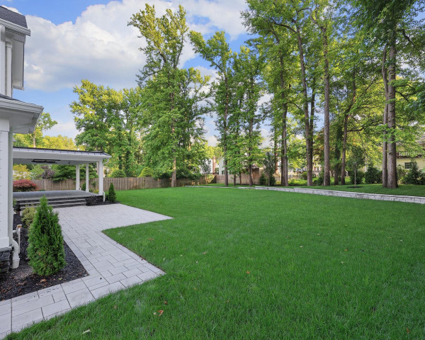 Rear Yard I