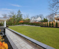 Rear Yard I
