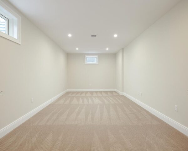 Finished Basement III