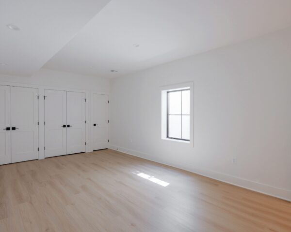 Finished Basement II
