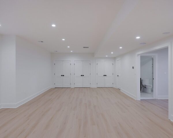 Finished Basement III