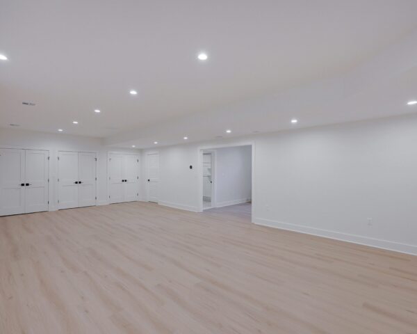 Finished Basement IV