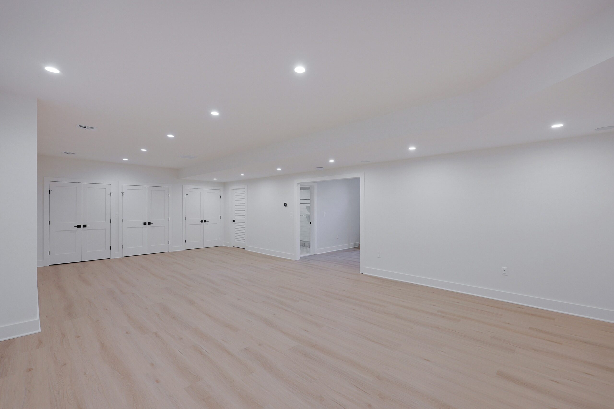 Finished Basement IV