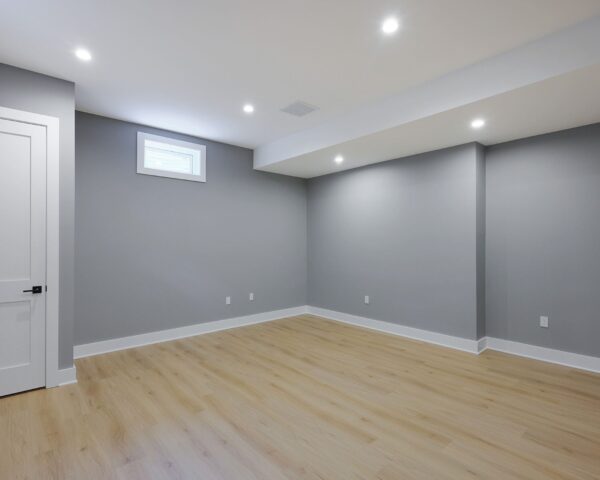 Basement - Home Office