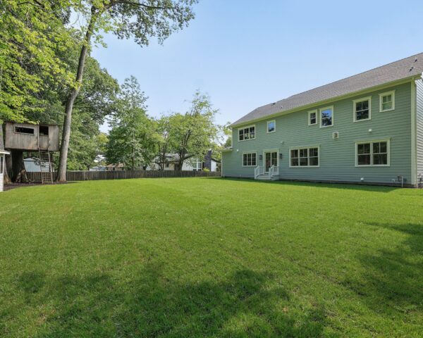 Rear Yard II