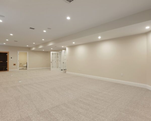 Finished Basement II