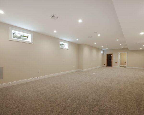 Finished Basement III