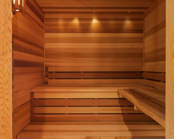Finished Basement Sauna II