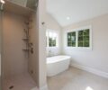 Master Bathroom III